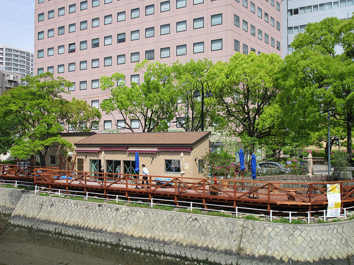 16042405